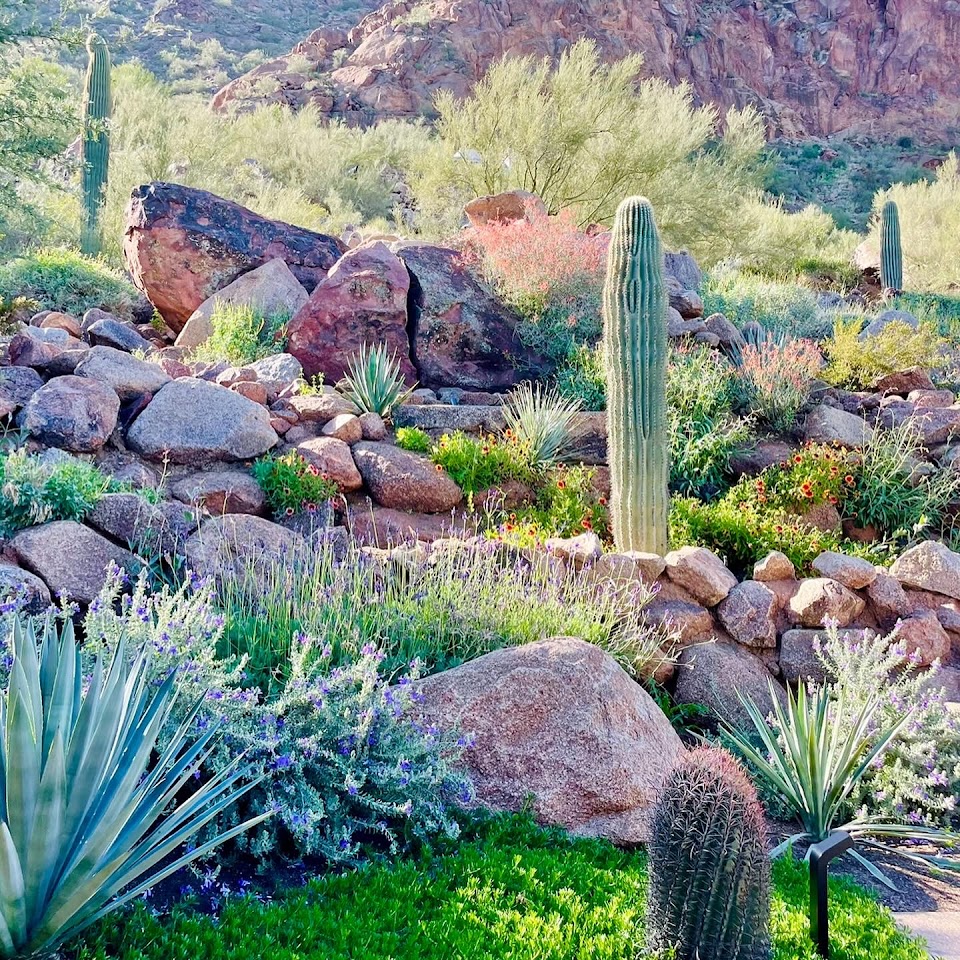 All Terrain Landscaping, LLC project