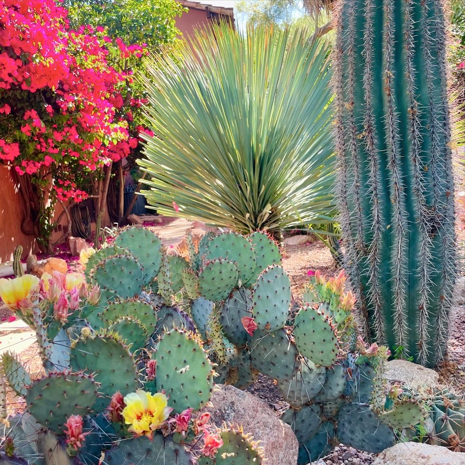 All Terrain Landscaping, LLC project